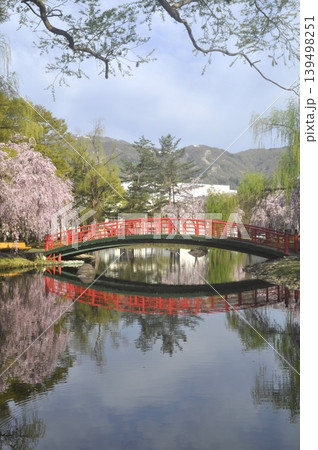 日本 新潟 越後湯沢 中央公園 枝垂れ桜 日本 新潟 越後湯沢 中央公園 枝垂れ桜 139498251