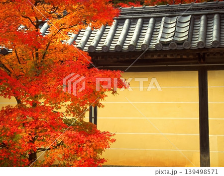 A peaceful collection of Japanese autumn landscapes featuring colorful maple trees, traditional temples, bamboo forests, and serene garden paths. A peaceful collection of Japanese autumn landscapes featuring colorful maple trees, traditional temples, bamboo forests, and serene garden paths. 139498571
