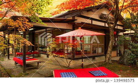 A peaceful collection of Japanese autumn landscapes featuring colorful maple trees, traditional temples, bamboo forests, and serene garden paths. A peaceful collection of Japanese autumn landscapes featuring colorful maple trees, traditional temples, bamboo forests, and serene garden paths. 139498575
