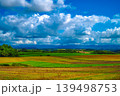 広大な自然風景 139498753