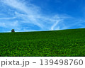緑の丘と白い雲 139498760