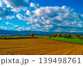 広大な麦畑 139498761