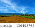 秋の士別市かわにしの丘の風景 139498762