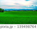 美しい夏の丘 139498764