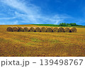 牧草ロールが広がる牧草畑 139498767