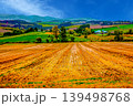 田園風景 139498768