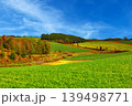 紅葉した自然風景 139498771