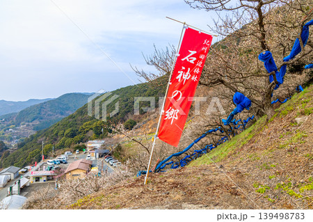 田辺梅林　(2月　曇り) 139498783