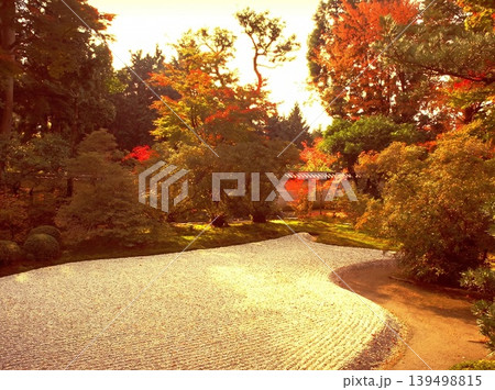 japanese garden with autumn trees japanese garden with autumn trees 139498815