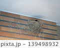 ツバメの巣と雛 139498932