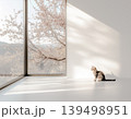 やわらかな光と自然を感じるミニマル空間と猫 139498951