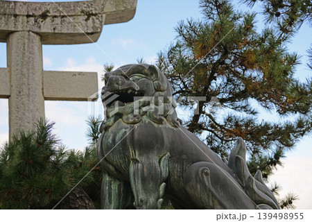 安芸の宮島厳島神社参道の狛犬-2 安芸の宮島厳島神社参道の狛犬-2 139498955