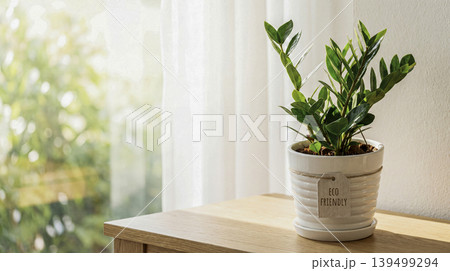 plant in pot on table 139499294