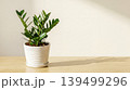 green plant in white pot on wooden table 139499296