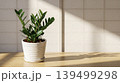 plant in pot on the window 139499298