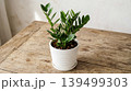 Slight top view plant on minimal table 139499303