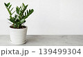green plants in pots on white background 139499304