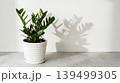 green plant in pot 139499305