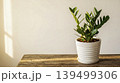 green plant in white pot plant on wood table 139499306