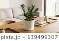 Modern home interior decor with plant 139499307