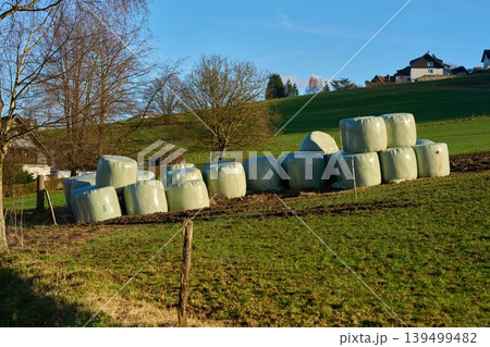Bales in sunlight Bales in sunlight 139499482