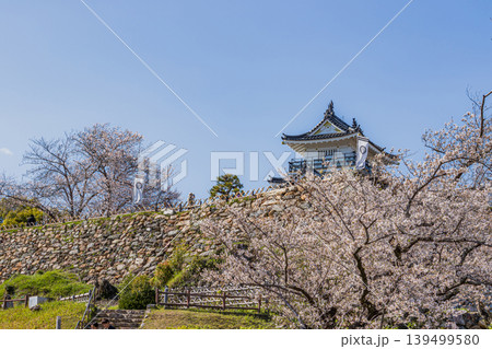 浜松市の浜松城と桜の風景(静岡県) 浜松市の浜松城と桜の風景(静岡県) 139499580