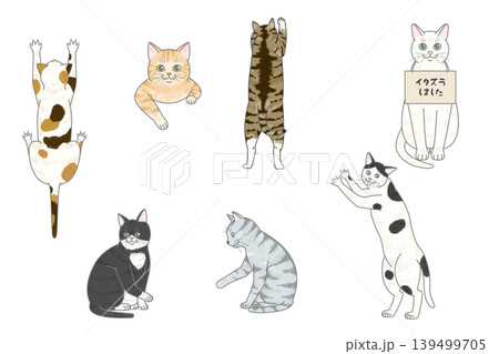 猫のいたずらセット 猫のいたずらセット 139499705