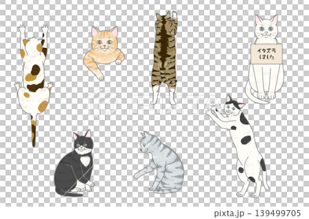 猫のいたずらセット 猫のいたずらセット 139499705