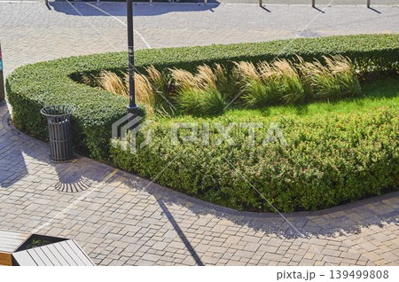 Green curves and gentle whispers of grass dance in the afternoon sun Green curves and gentle whispers of grass dance in the afternoon sun 139499808