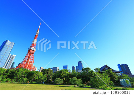 東京都港区、東京タワーと新緑の風景 東京都港区、東京タワーと新緑の風景 139500035