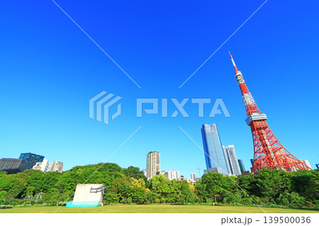 東京都港区、東京タワーと新緑の風景 東京都港区、東京タワーと新緑の風景 139500036