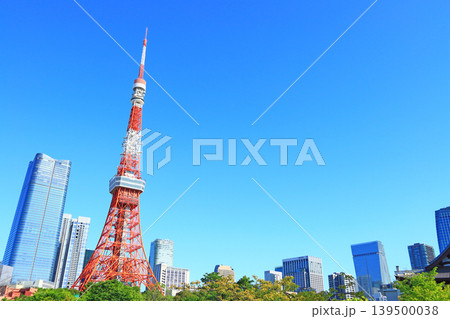 東京都港区、東京タワーと新緑の風景 東京都港区、東京タワーと新緑の風景 139500038
