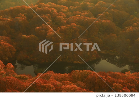燃えるような紅葉 燃えるような紅葉 139500094