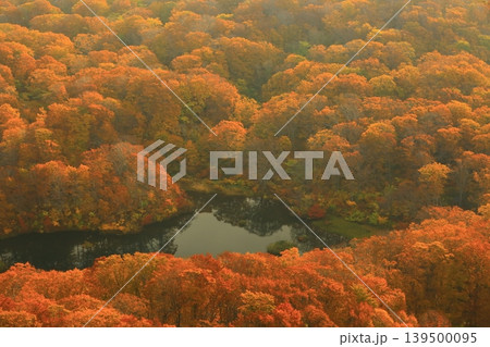 燃えるような紅葉 燃えるような紅葉 139500095