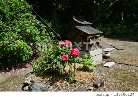 総持寺、長浜市 総持寺、長浜市 139500124