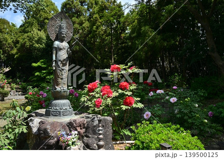 総持寺、長浜市 総持寺、長浜市 139500125