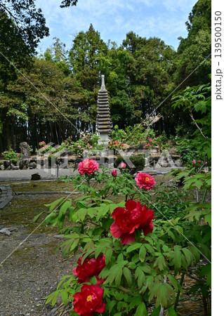 総持寺、長浜市 総持寺、長浜市 139500150