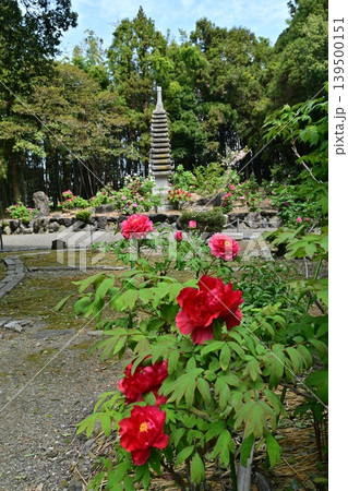 総持寺、長浜市 総持寺、長浜市 139500151