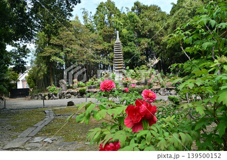 総持寺、長浜市 139500152