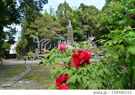 総持寺、長浜市 総持寺、長浜市 139500153