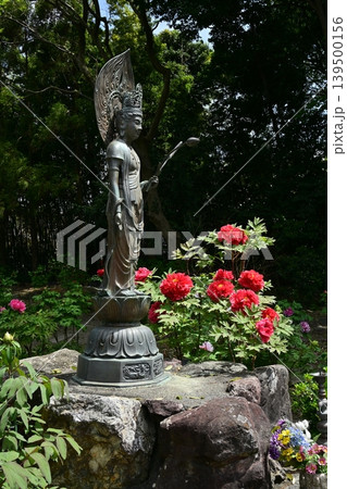 総持寺、長浜市 総持寺、長浜市 139500156