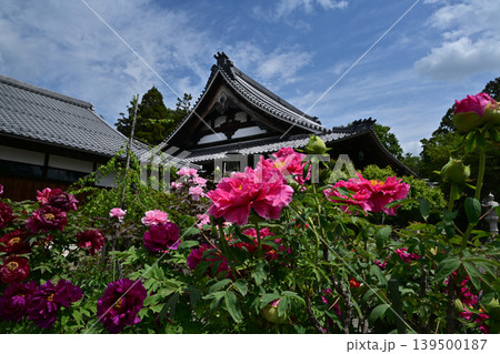 総持寺、長浜市 総持寺、長浜市 139500187