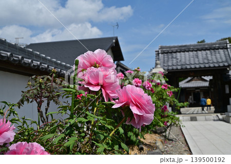 総持寺、長浜市 総持寺、長浜市 139500192