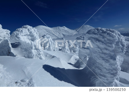 樹氷の美しい雪の八甲田 139500250
