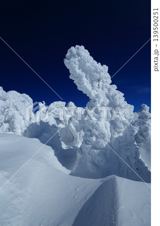 樹氷の美しい雪の八甲田 139500251