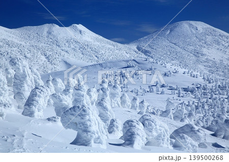 樹氷の美しい雪の八甲田 139500268