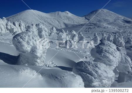 樹氷の美しい雪の八甲田 139500272