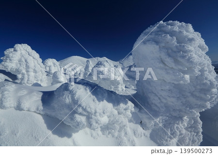 樹氷の美しい雪の八甲田 139500273