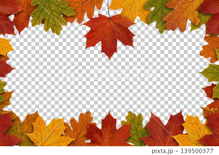 Autumn maple and oak leaf frame isolated for seasonal greeting 139500377