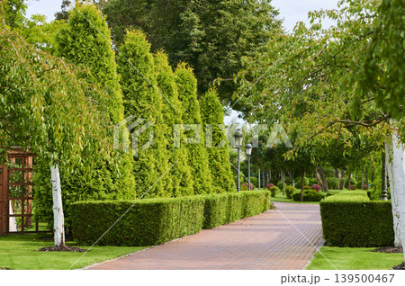 Stroll through a tranquil garden pathway lined with vibrant greenery and lush hedges Stroll through a tranquil garden pathway lined with vibrant greenery and lush hedges 139500467